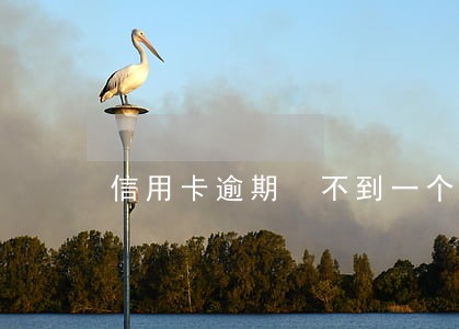 信用卡逾期 不到一个月